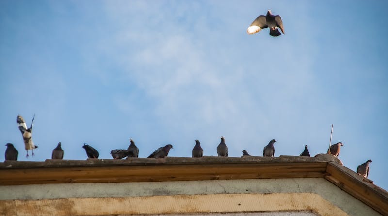 Building Safe Home Environments for Seniors